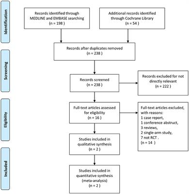 Thrombectomy with and without computed tomography perfusion imaging for large-vessel occlusion stroke in the extended time window: a meta-analysis of randomized clinical trials